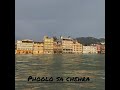 Ganga River Peaceful View 🌅 | Hamirpurwale91 #shorts