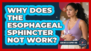 Why Does The Esophageal Sphincter Not Work?