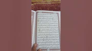 ما تيسر من سورة المائدة ( يوم يجمع الله الرسل )🌹