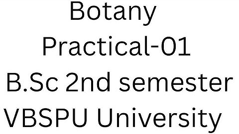Botany practical record file for BSc 2nd semester