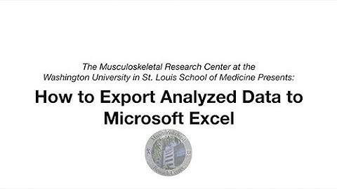 Step 7: Exporting Data to Excel SOP