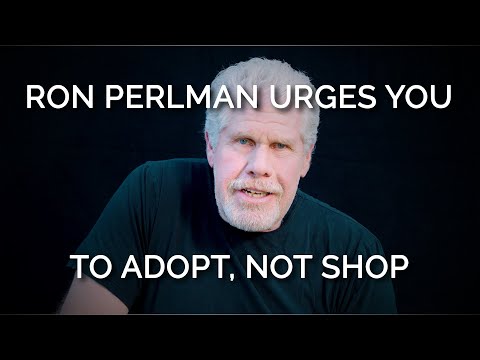 Sons of Anarchy Star Ron Perlman Urges You to Adopt, Not Shop