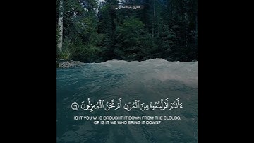 ﴿أَفَرَأَيتُمُ الماءَ الَّذي تَشرَبونَ﴾ تلاوة قصيرة للقارئ عبدالله الموسى