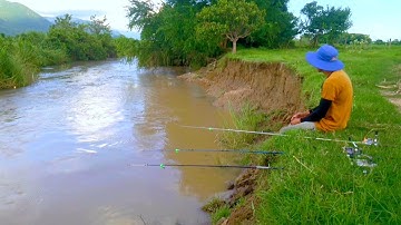 Câu cá giữa thiên nhiên hoang sơ | và bí ẩn dưới dòng nước đục ngầu