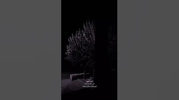 راحة نفسية🌿🤍حالات واتس اب قران//آيات قرانية قصيرة//ستوريات انستقرام#بدون_حقوق