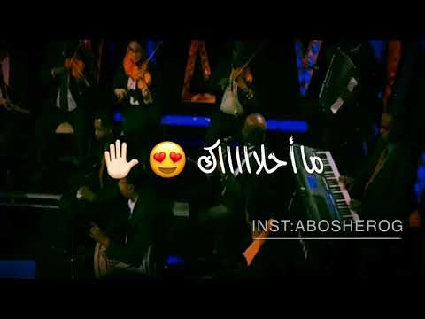 مامون سوار الدهب ربيع الدنيا