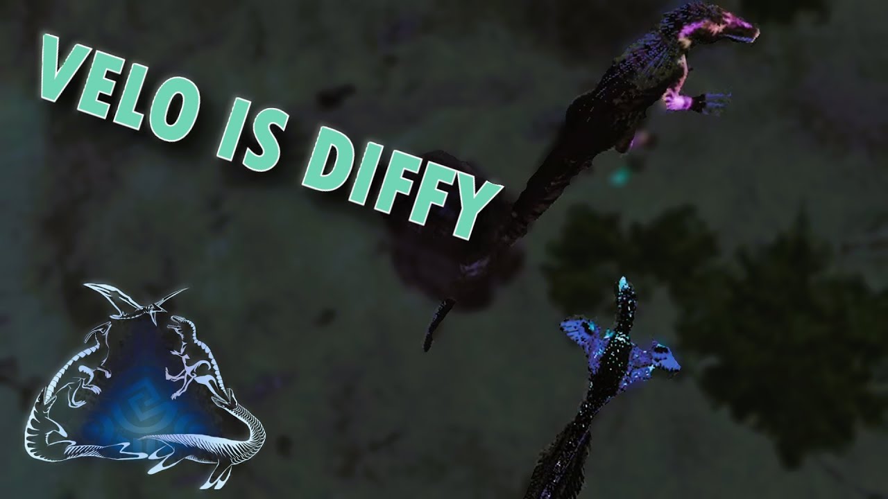 VELO ASMR - Beasts Of Bermuda