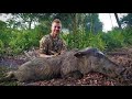 Crossbow Feral Hog Kill - Nice Blue Boar