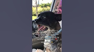 READ CAPTION 👇🏻