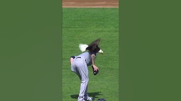 Thumbnail of FLY LIKE AN EAGLE! James Paxton has bald eagle LAND ON HIM! 🤣🤣