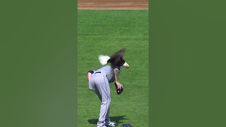 FLY LIKE AN EAGLE! James Paxton has bald eagle LAND ON HIM! 🤣🤣