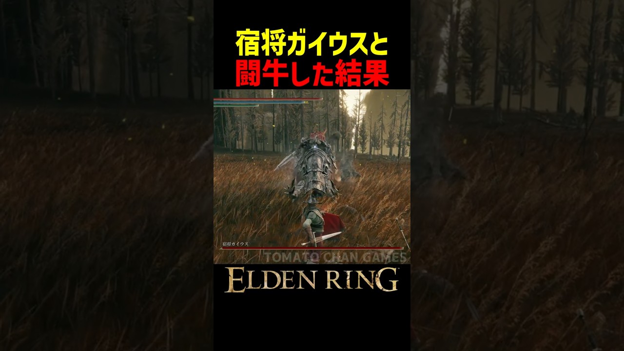 宿将ガイウスと闘牛した結果、とんでもないことに…【エルデンリング 新DLC】