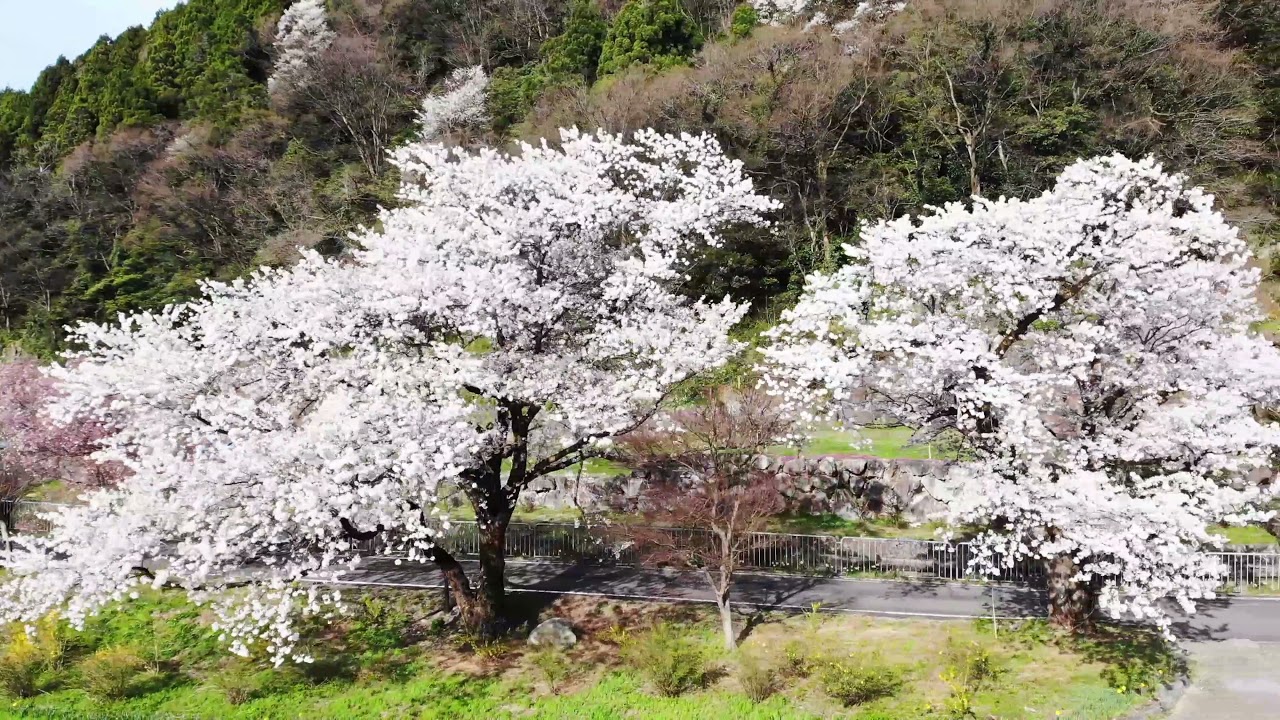 庄川水記念公園 富山県の東山見に移住して田舎暮らし