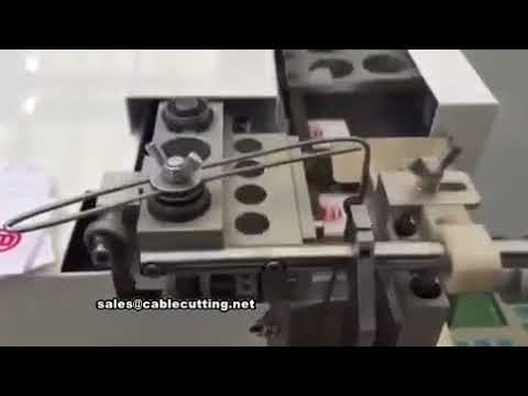 Automatic Label Cut and Fold Machine for Industrial Packaging