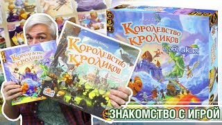 Знакомство с дополнением 