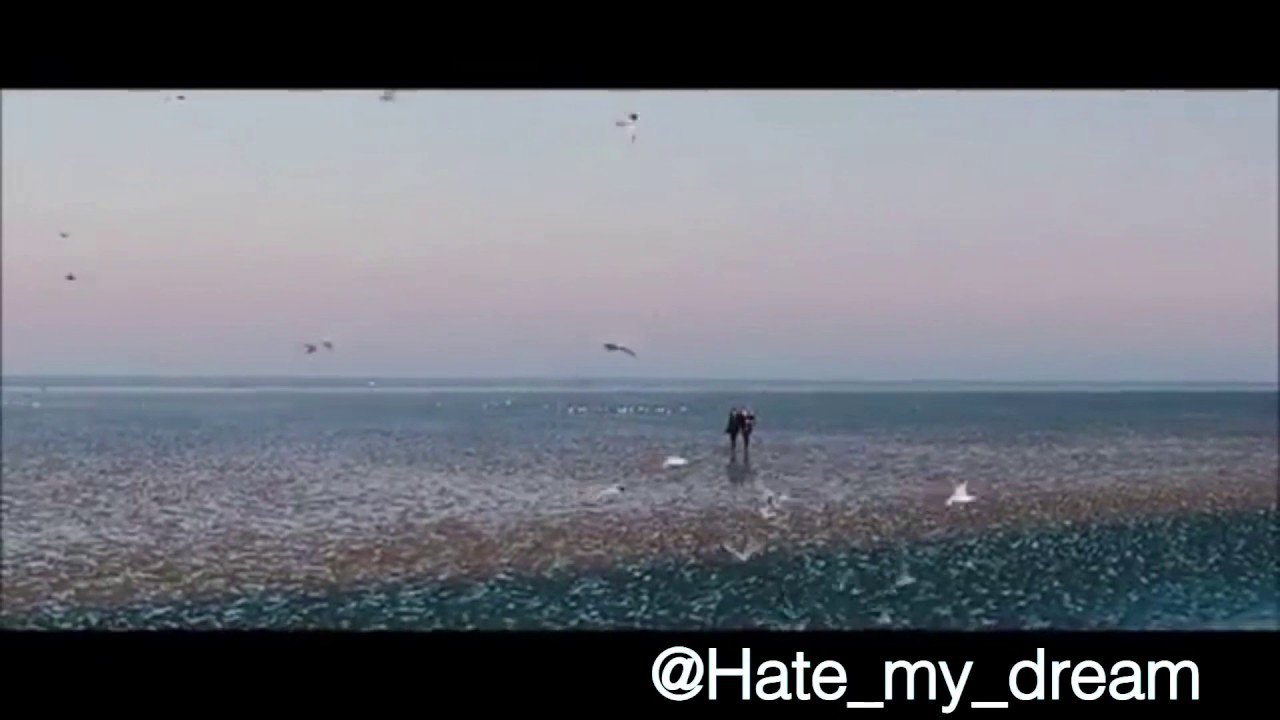 Wattpad trailer | AVIS