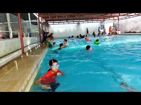 Video Hồ bơi vào cuối tuần thật đông vui | Nhím Biển Sóc... - youtube