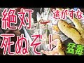 生きたハブをハブ酒にしてみた！ 【即死】