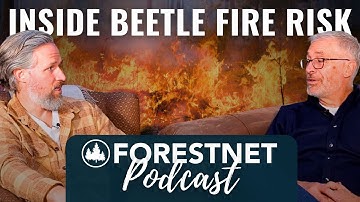 Dead Wood, Fuel Loads, and What the Science Really Says | Dr. Allan Carroll