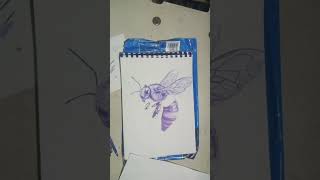dessin d'un abeille au stylo