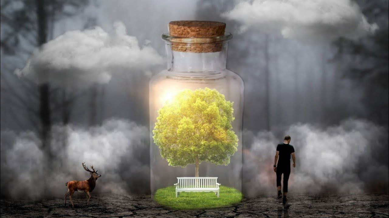 Pohon Harapan photo manipulations picsaypro editing | Tutorial Picsaypro Manipulasi