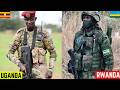 مقارنة القوة العسكرية بين أوغندا ورواندا في عام 2026 من الأقوى