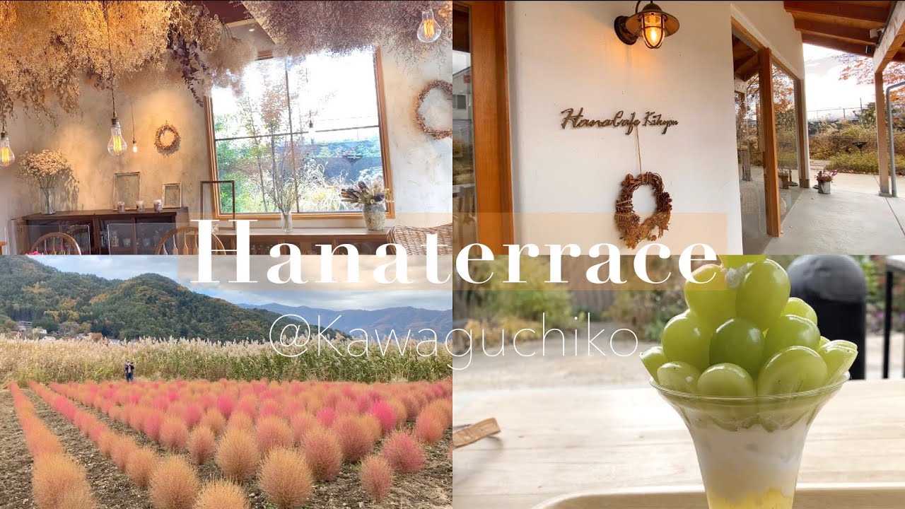 Vlog 河口湖 ハナテラス お花カフェ 葡萄屋パフェ 大石公園のコキアと富士山が絶景 山梨旅行 Youtube