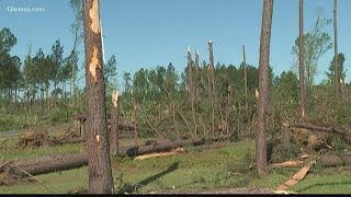 Storm takes down hundreds of trees along GA-242 in Washington County