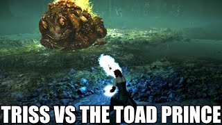 The Witcher 3: TRISS VS THE TOAD PRINCE screenshot 4
