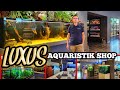 Luxus aquaristik fachgeschft in der schweiz  aquatrend