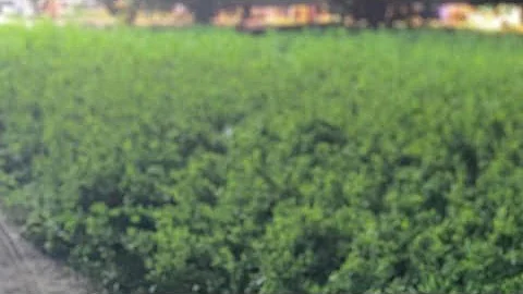 Judge Judy [Episode 9959] Best Amazing Cases Season 2025 Full Episodes HD