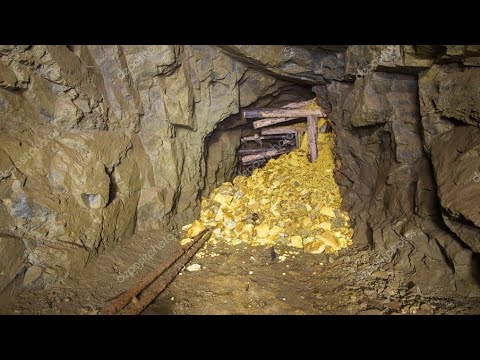 Video: Si ishte jeta në fushat e arit?