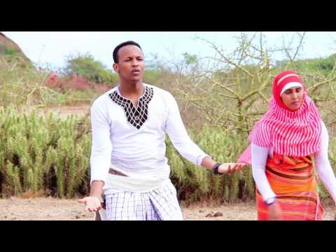 Dhaanto Cusub Abdifatax Jarmal