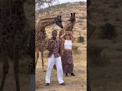 One giraffe refused to join😳😂@isabellaafro #travel #dance #trending #shorts