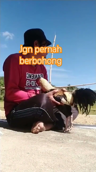 jangan pernah berbohong pada seseorang yang mempertahanmu dengan ketulusan #motivasihidup #quotes