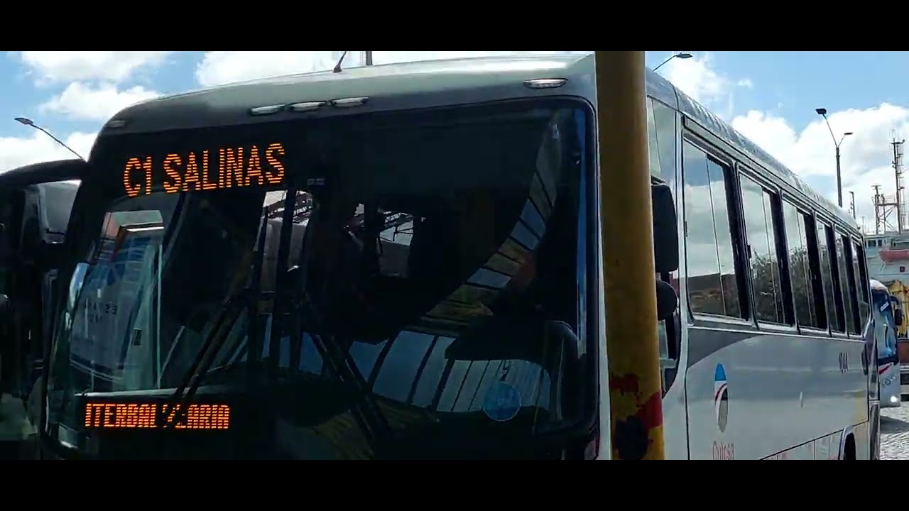 Exterior, Cutcsa 1044-Marcopolo Audace 800 Mercedes-Benz OH-1622L Euro III:cargando por C1 Salinas