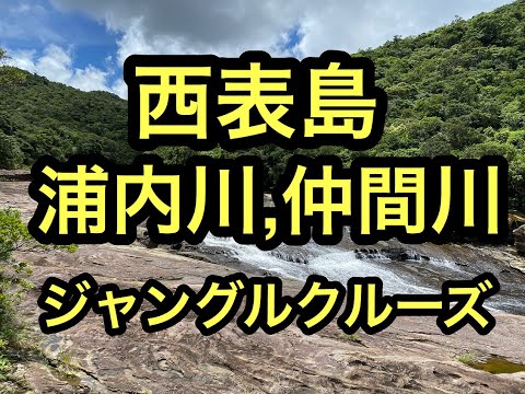 沖縄西表島浦内川,仲間川クルーズ⑭石垣島ジャングルクルーズ編ハイサイ!ベストシーズンの石垣島、西表島の離島巡り旅。ハイサイ探検気分でうちな~。 #石垣島 #西表島 #沖縄 #浦内川 #仲間川