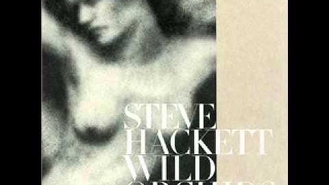 Steve Hackett - Ego and Id