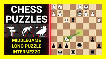 Chess Puzzles to Practice. Themes: Middlegame, Long puzzle, Intermezzo. Learn Chess
