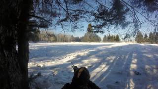 Kelly shooting his Elk