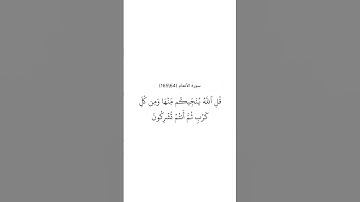سورة الأنعام ٦٤