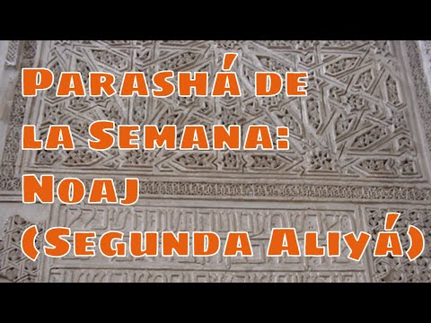 Parashat Nóaj 02: Dios dentro del Arca
