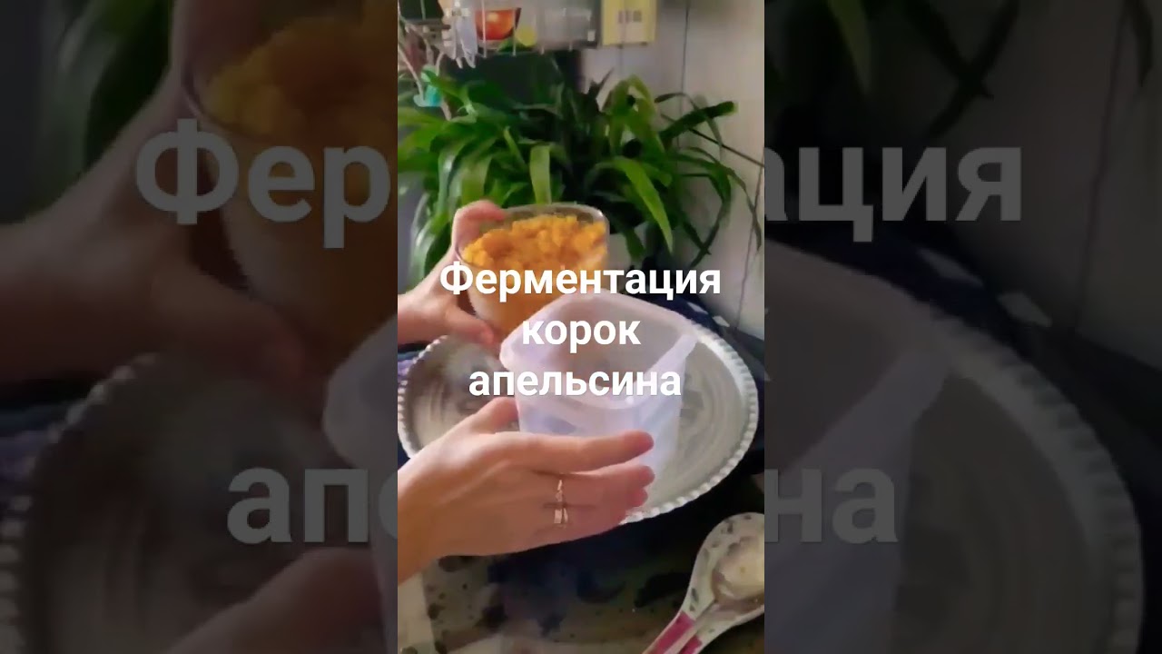 АПЕЛЬСИНОВАЯ ЦЕДРА, КАК ФЕРМЕНТИРОВАТЬ? #shorts