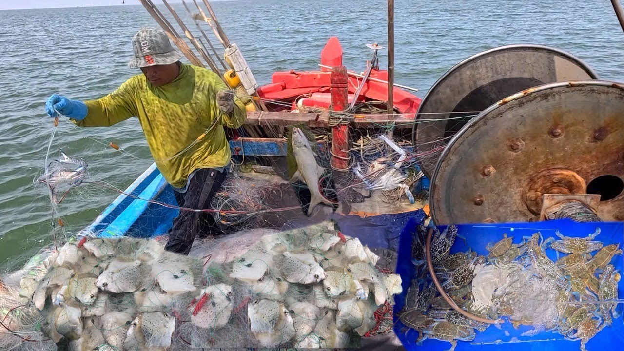 Quá Đã Với Nghề Lưới Ghẹ,Cá Bàn Sa Của Ngư Dân Vũng Tàu_Hôm Nay Trúng Cá,Ghẹ Quá Đã Luôn