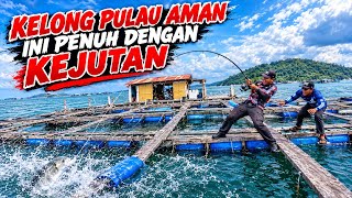 Download lagu 🔴GILA PENUH KEJUTAN⁉️KELONG PULAU AMAN JARANG MENGECEWAKAN🔴