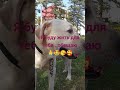 Я твоя!#maroc #марокко #maghreb #maghrib #dog #dogshorts #doglife #dogs #doglove#dogvideos#labrador#