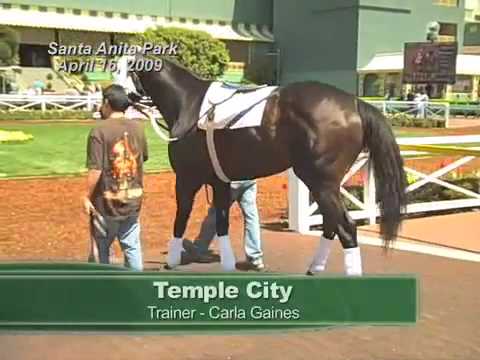 Temple City schooling, Santa Anita Park paddock, 4...