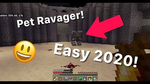 How to catch a pet Ravager! EASY! *Works On All Versions Of Minecraft!* 2020 Big Stonks Vil ep.1