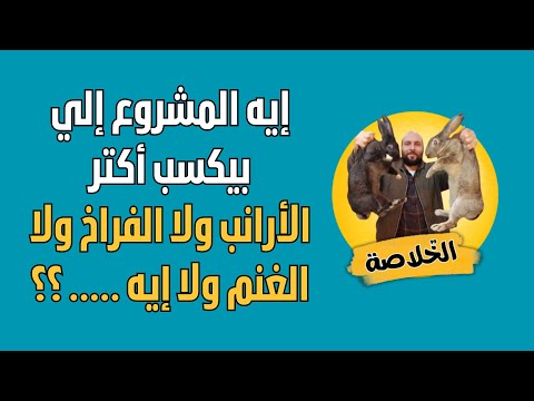 إيه المشروع إلي بيكسب أكترالأرانب ولا الفراخ ولا الغنم ولا إيه