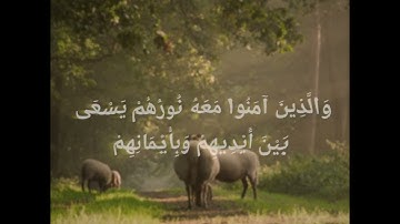 تلاوة خاشعة لسورة التحريم {8} إسلام صبحي